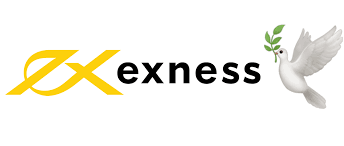 Essential Guide to Exness Metatrader 4 Setup 6