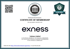 Discover the Power of Trading with exness mobile Discover the Power of Trading with exness mobile