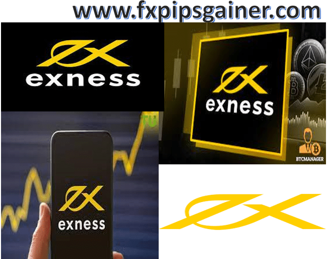 Exness Fx Broker A Comprehensive Review Exness Fx Broker A Comprehensive Review