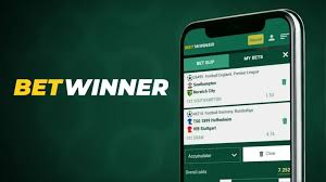 Comprehensive Guide to Betwinner Deposit Methods -639794905