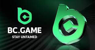 لماذا لا يعمل BC.Game الأسباب والحلول